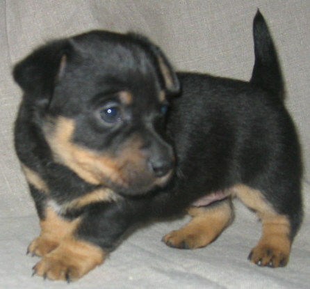 Betty